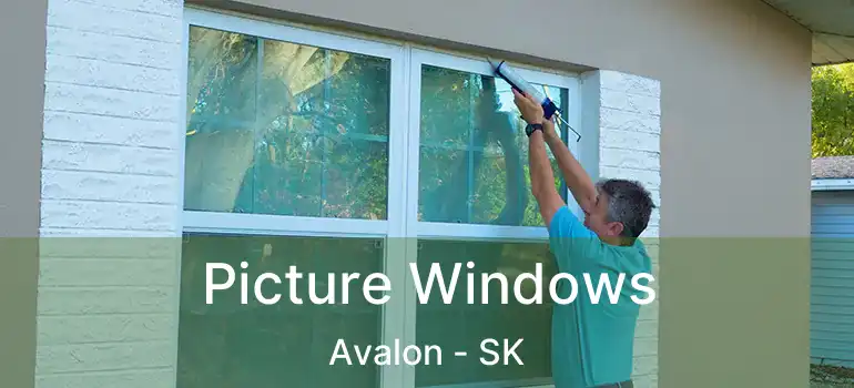  Picture Windows Avalon - SK