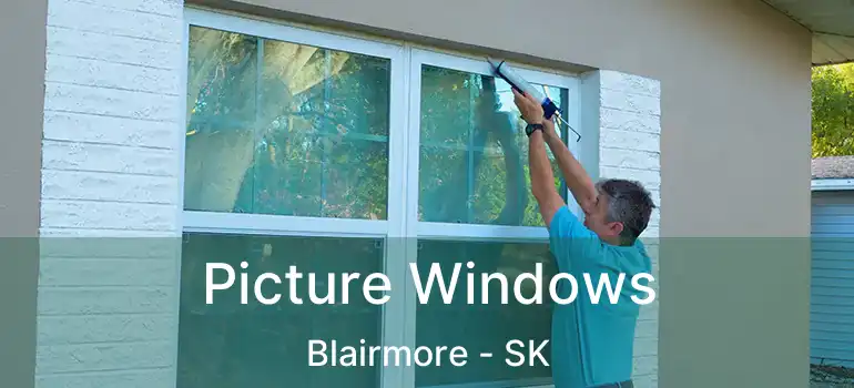  Picture Windows Blairmore - SK