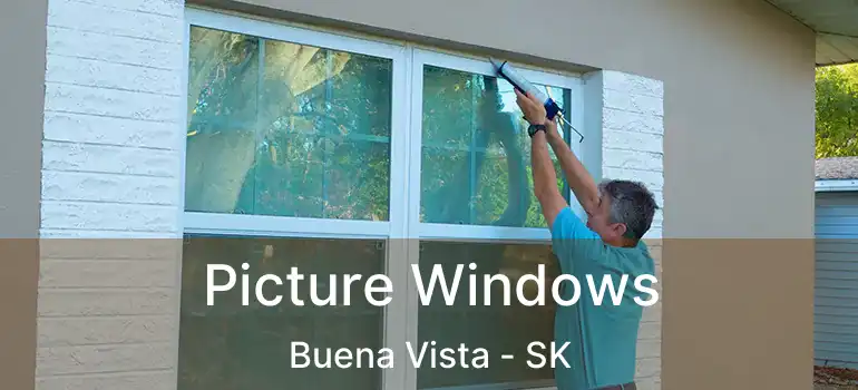  Picture Windows Buena Vista - SK