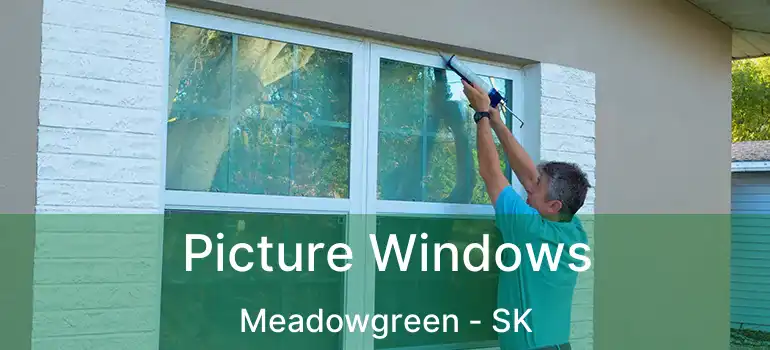  Picture Windows Meadowgreen - SK