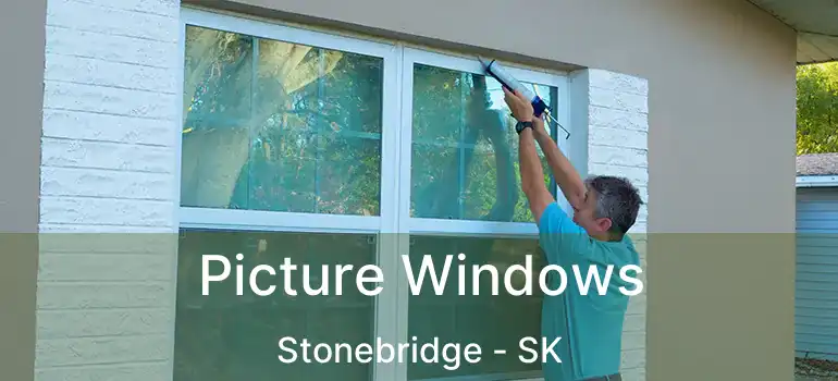  Picture Windows Stonebridge - SK