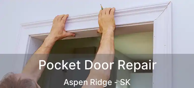  Pocket Door Repair Aspen Ridge - SK