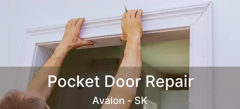  Pocket Door Repair Avalon - SK