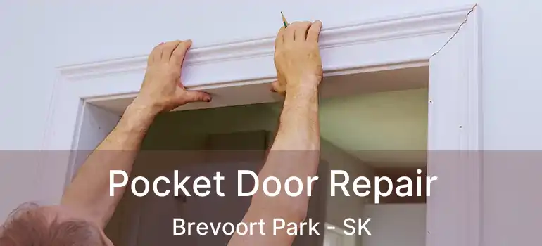  Pocket Door Repair Brevoort Park - SK