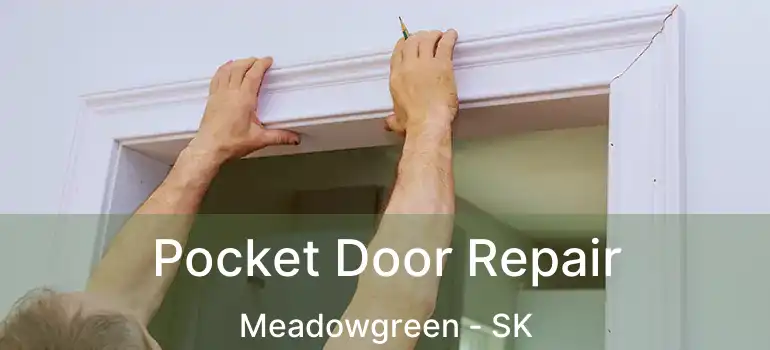  Pocket Door Repair Meadowgreen - SK