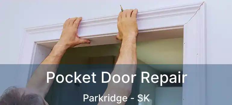  Pocket Door Repair Parkridge - SK