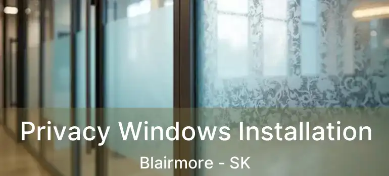  Privacy Windows Installation Blairmore - SK