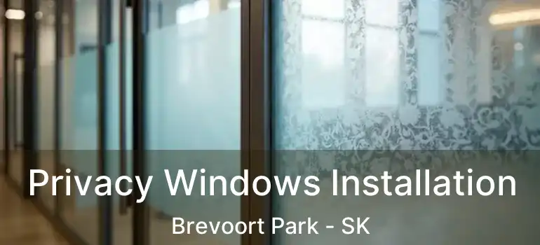  Privacy Windows Installation Brevoort Park - SK