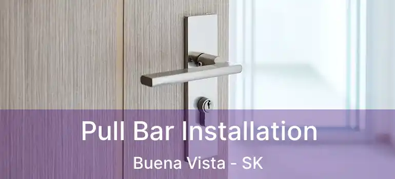  Pull Bar Installation Buena Vista - SK