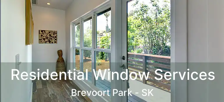  Residential Window Services Brevoort Park - SK