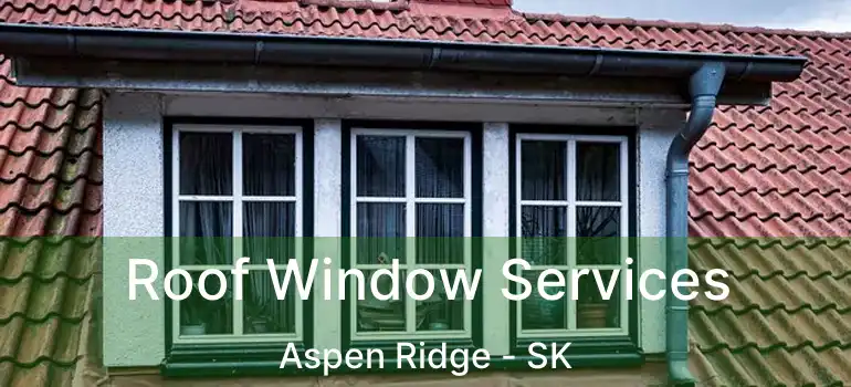  Roof Window Services Aspen Ridge - SK