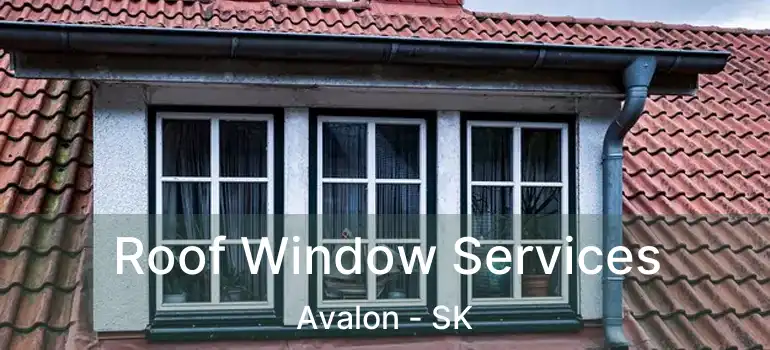  Roof Window Services Avalon - SK