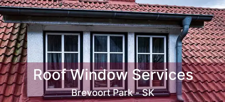  Roof Window Services Brevoort Park - SK