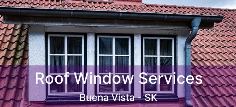  Roof Window Services Buena Vista - SK