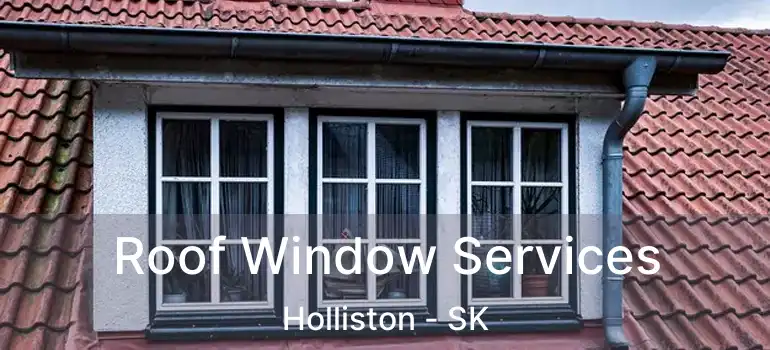  Roof Window Services Holliston - SK