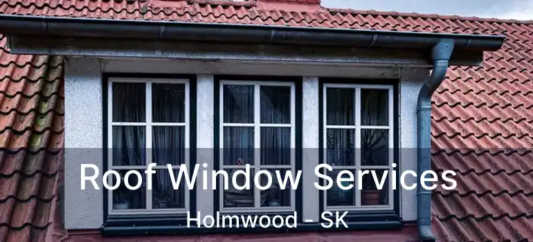  Roof Window Services Holmwood - SK