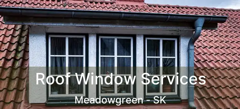  Roof Window Services Meadowgreen - SK