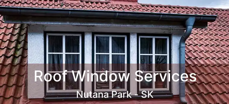  Roof Window Services Nutana Park - SK