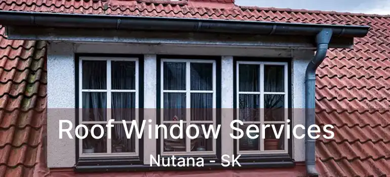  Roof Window Services Nutana - SK