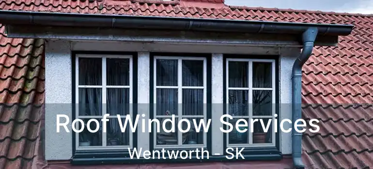  Roof Window Services Wentworth - SK