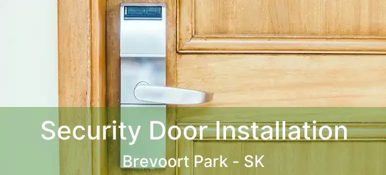  Security Door Installation Brevoort Park - SK