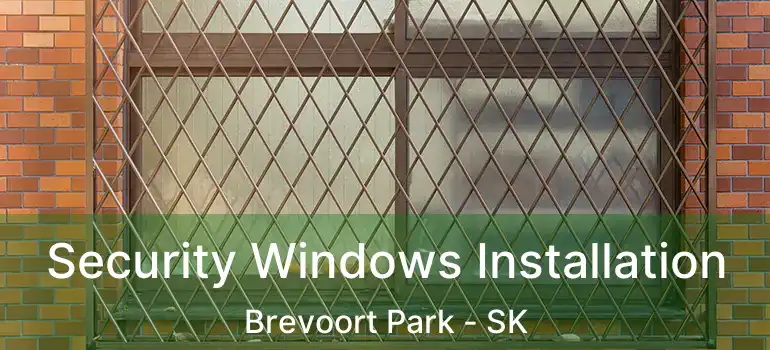  Security Windows Installation Brevoort Park - SK