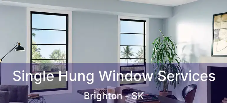  Single Hung Window Services Brighton - SK