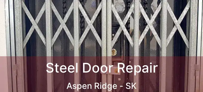  Steel Door Repair Aspen Ridge - SK