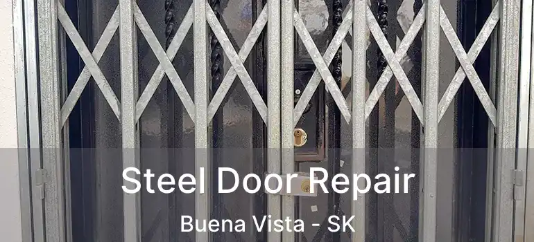  Steel Door Repair Buena Vista - SK