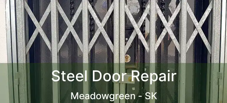  Steel Door Repair Meadowgreen - SK