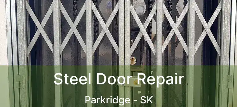  Steel Door Repair Parkridge - SK