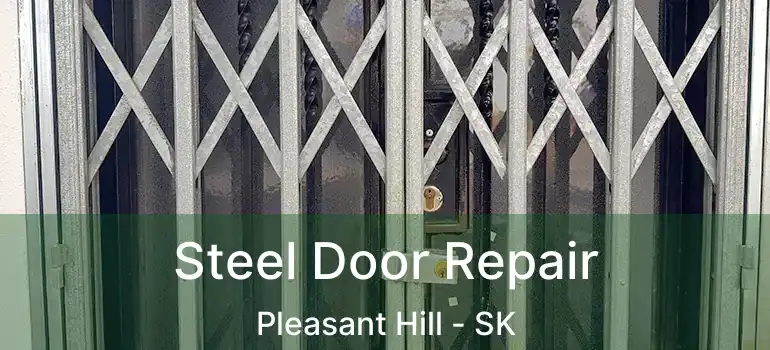  Steel Door Repair Pleasant Hill - SK