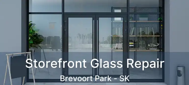  Storefront Glass Repair Brevoort Park - SK