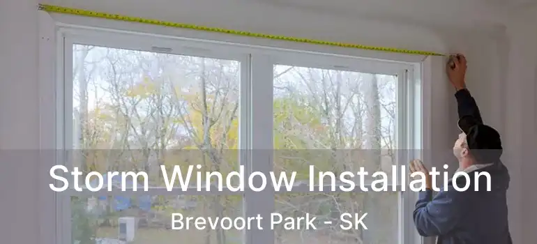  Storm Window Installation Brevoort Park - SK