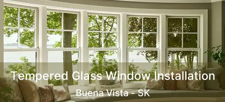  Tempered Glass Window Installation Buena Vista - SK