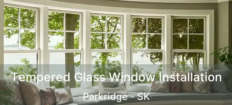  Tempered Glass Window Installation Parkridge - SK