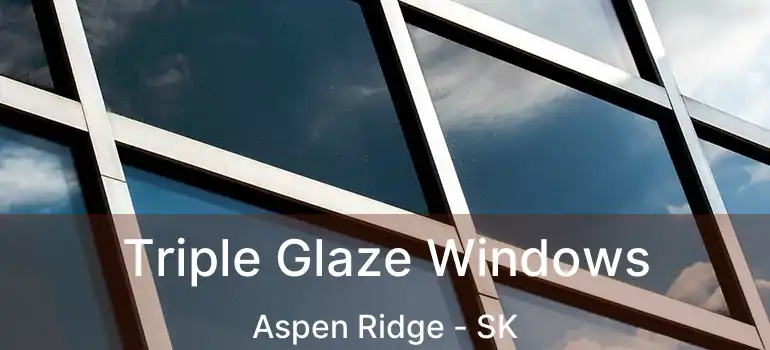  Triple Glaze Windows Aspen Ridge - SK