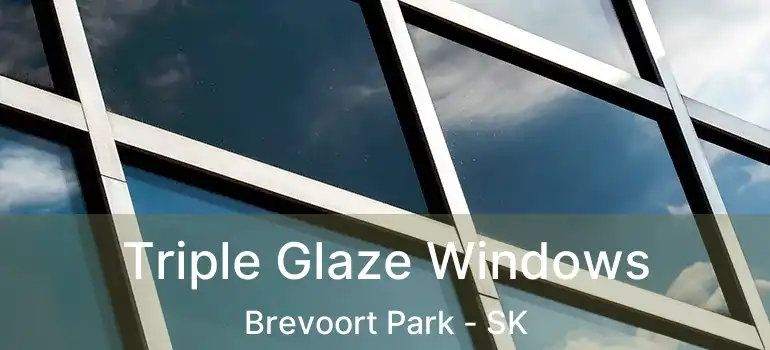  Triple Glaze Windows Brevoort Park - SK