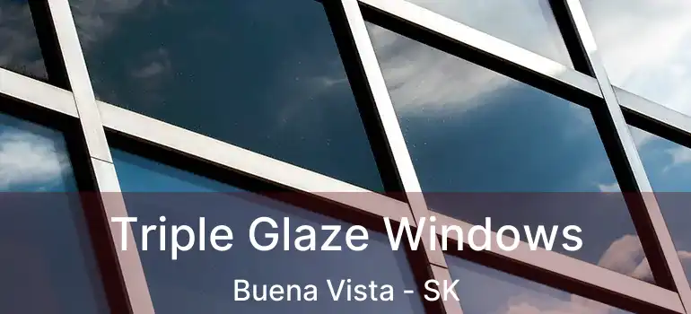  Triple Glaze Windows Buena Vista - SK