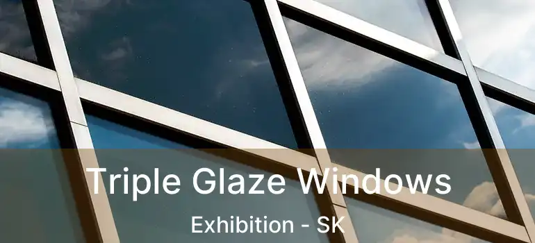  Triple Glaze Windows Exhibition - SK