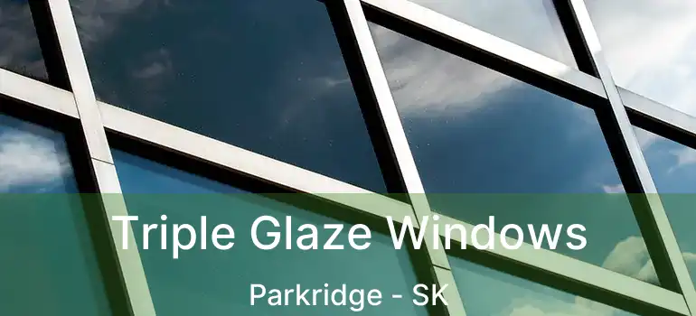  Triple Glaze Windows Parkridge - SK