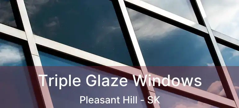  Triple Glaze Windows Pleasant Hill - SK