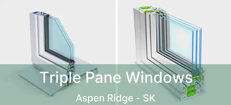  Triple Pane Windows Aspen Ridge - SK