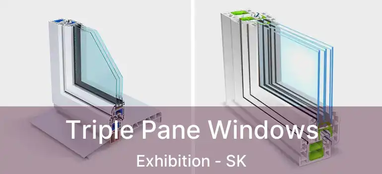  Triple Pane Windows Exhibition - SK