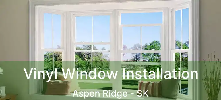  Vinyl Window Installation Aspen Ridge - SK