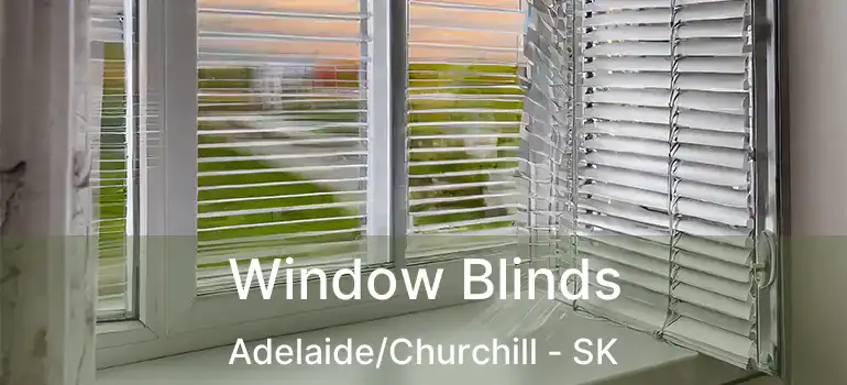  Window Blinds Adelaide/Churchill - SK