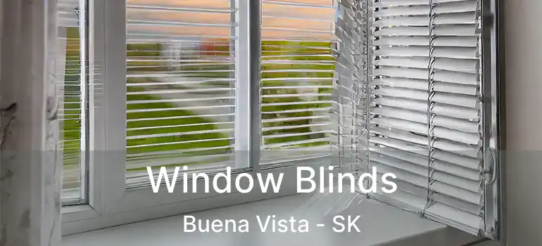  Window Blinds Buena Vista - SK