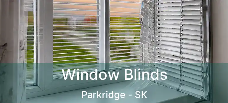  Window Blinds Parkridge - SK