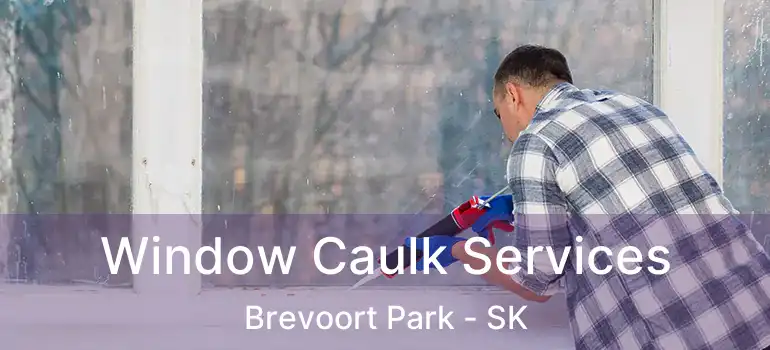  Window Caulk Services Brevoort Park - SK