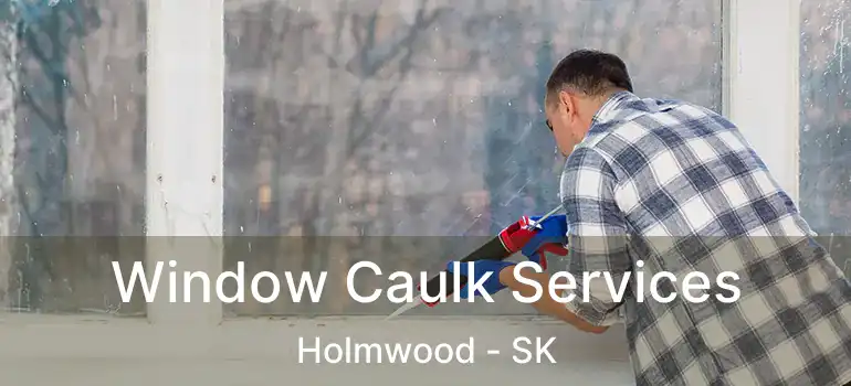  Window Caulk Services Holmwood - SK